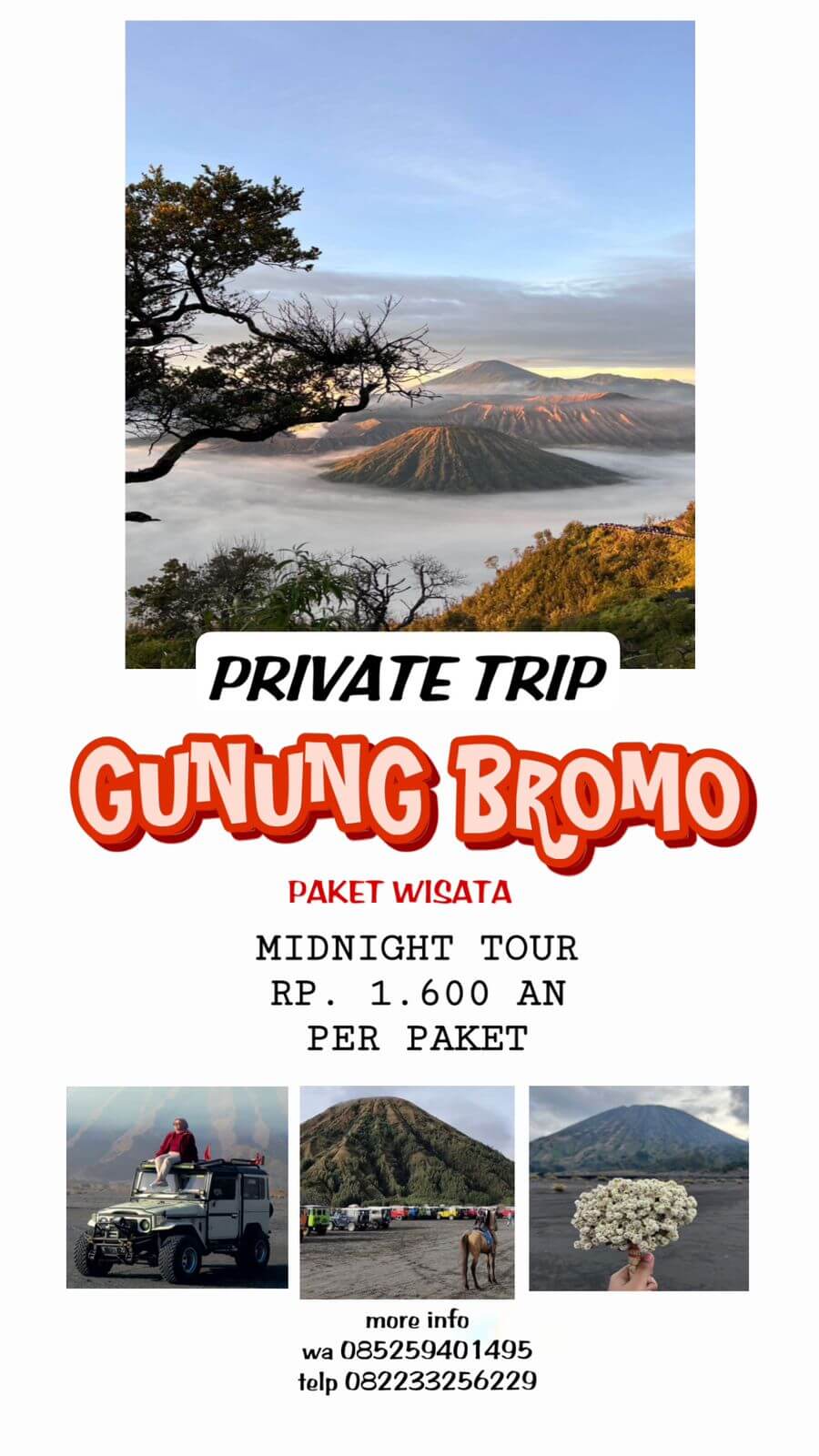 PAKET TRIP GUNUNG BROMO - TRAVEL TRIP BROMO INDO