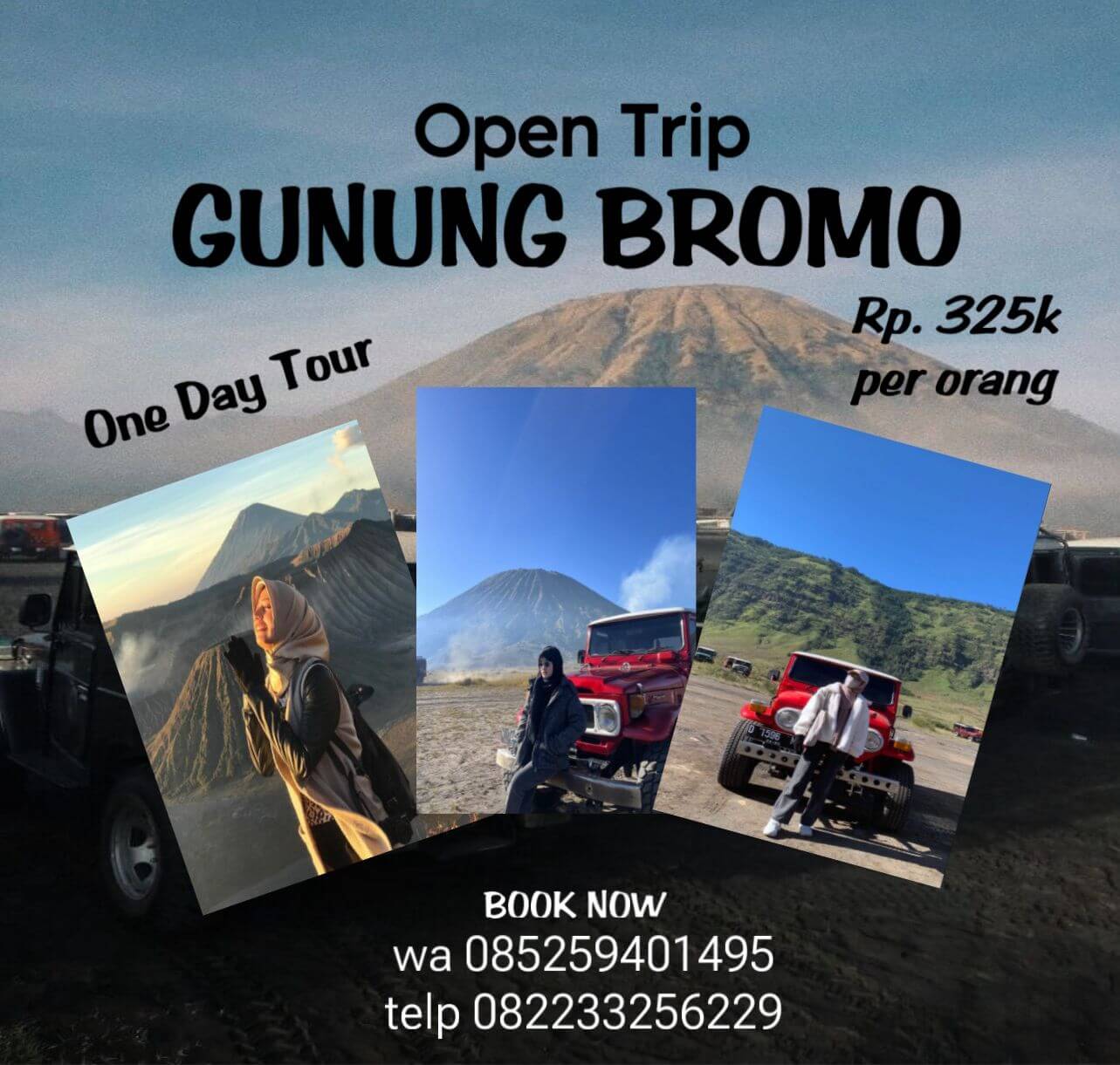 open trip gunung bromo - TRAVEL TRIP BROMO INDO